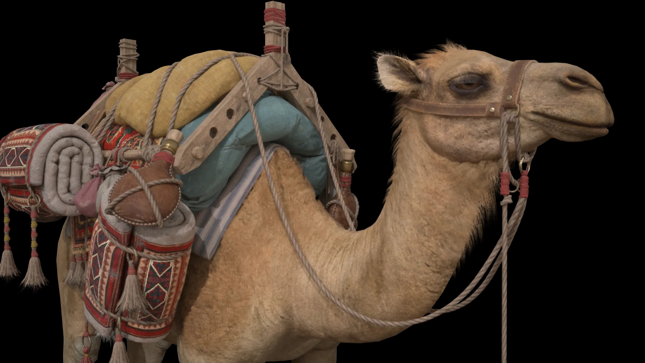 camel