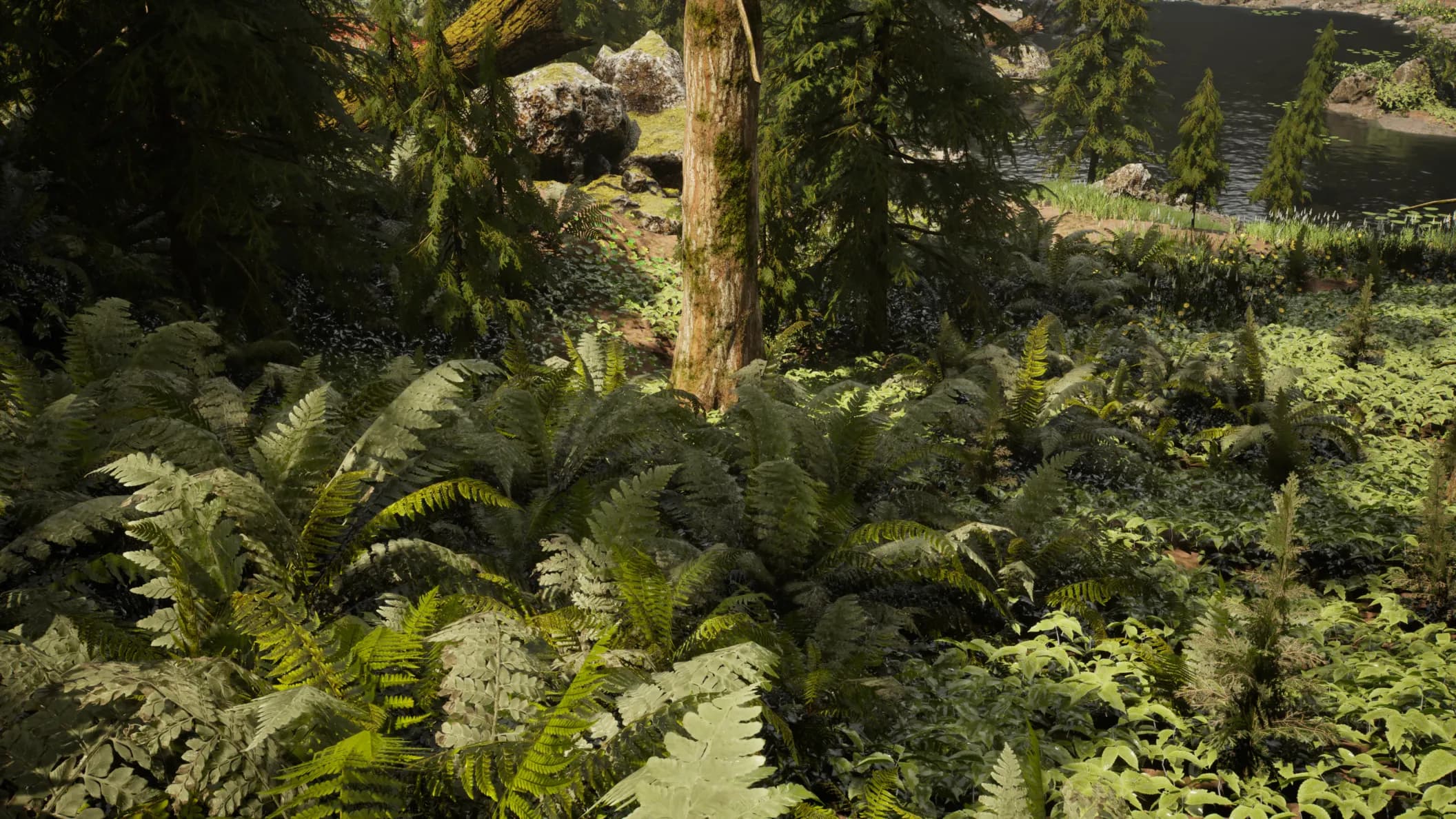 Prompt: Lakeside hemlock forest with dense fern undergrowth, boulders and mossy branches