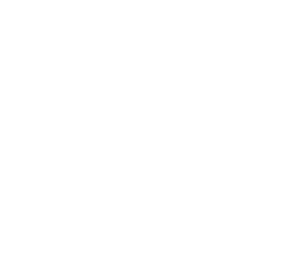 Leartes Horizontal Logo