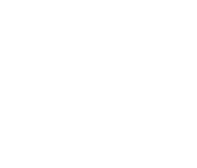 Leartes Horizontal Logo