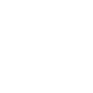 Marmoset