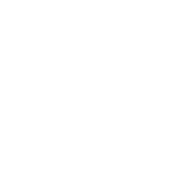 paradox